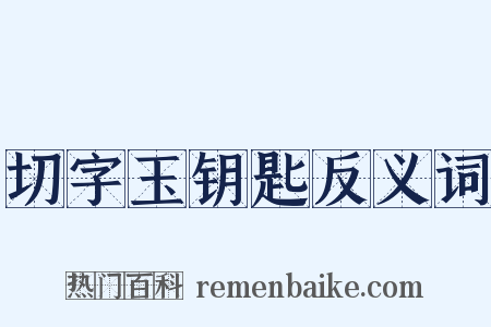 切字玉钥匙反义词是什么意思的图片